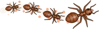 Ember, a buggs.io trail, behind an Ant