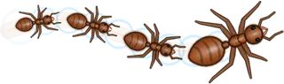 Frost, a buggs.io trail, behind an Ant