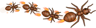 Inferno, a buggs.io trail, behind an Ant