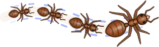 Ink, a buggs.io trail, behind an Ant