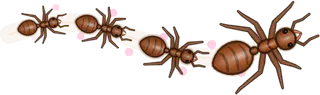 Petals, a buggs.io trail, behind an Ant