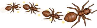 Pollen, a buggs.io trail, behind an Ant