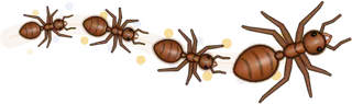 Sparkler, a buggs.io trail, behind an Ant