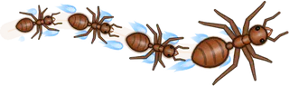Spirit Flame, a buggs.io trail, behind an Ant