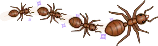 Stardust, a buggs.io trail, behind an Ant