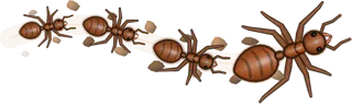 Terra, a buggs.io trail, behind an Ant