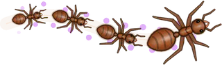 Thistle, a buggs.io trail, behind an Ant