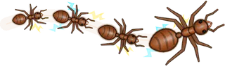 Thunderstorm, a buggs.io trail, behind an Ant