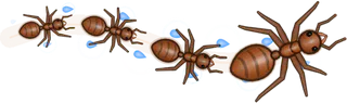 Tidal, a buggs.io trail, behind an Ant