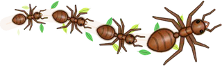 Verdant, a buggs.io trail, behind an Ant